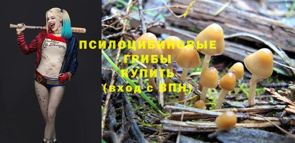 СК Абинск