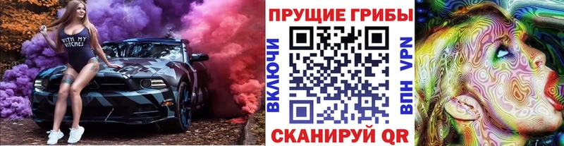 закладка  shop Telegram  Галлюциногенные грибы Psilocybine cubensis  Советский 